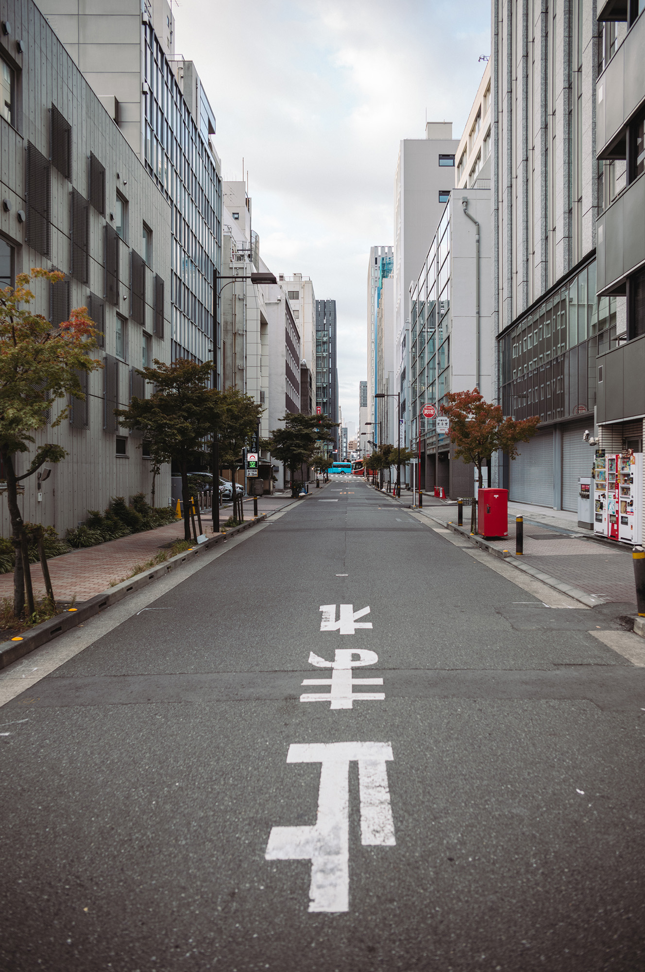 Leica M11 + Summilux-M 28mm f/1.4 ASPH